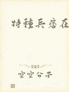 特种兵痞在都市