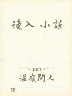 后入 小说