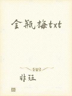 金瓶梅txt封面