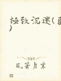 极致沉迷(臣年)