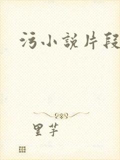 污小说片段封面