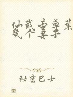 仙武帝尊叶辰有几个妻子