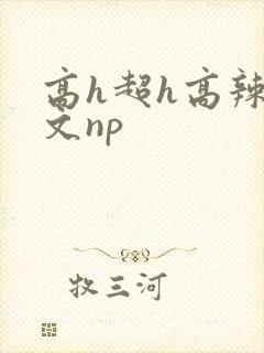 高h超h高辣h文np