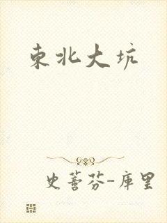 东北大坑封面