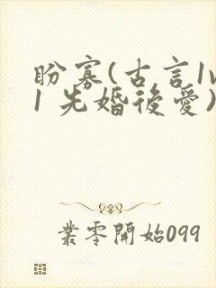 盼寡(古言1v1 先婚后爱)荔枝好多封面