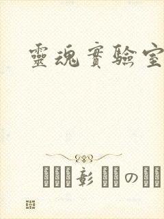 灵魂实验室封面