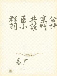 群臣共享公主银羽小说叫什么