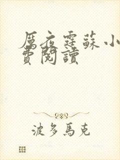 厉夜霆苏小汐免费阅读