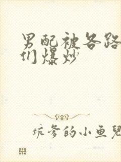 男配被各路大佬们爆炒