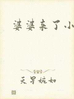 婆婆来了小说封面