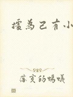 据为己有小说封面