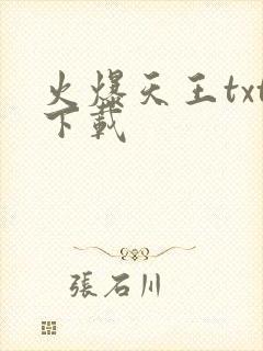 火爆天王txt下载