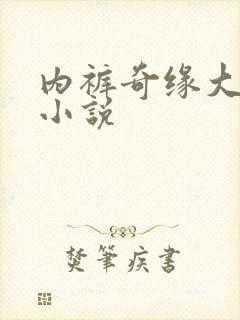 内裤奇缘大团结小说