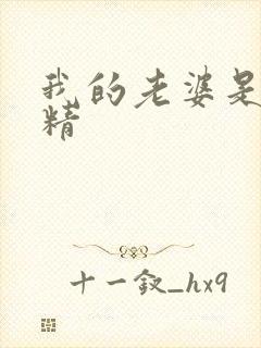 我的老婆是狐狸精