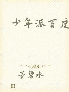 少年派百度百科