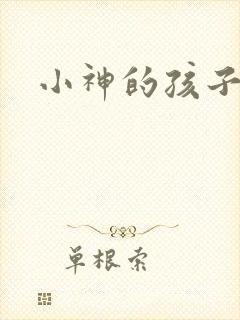 小神的孩子们封面