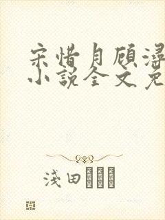 宋惜月顾浔渊的小说全文免费阅读