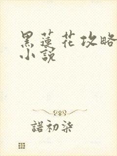 黑莲花攻略手册小说封面