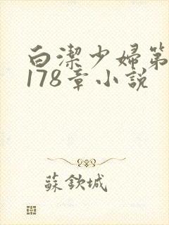 白洁少妇第1一178章小说