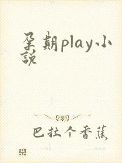 孕期play小说