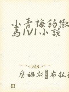 小青梅的傲娇竹马1V1小说