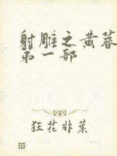 射雕之黄蓉新传第一部