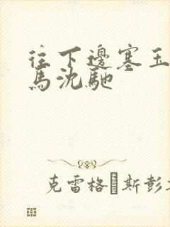 往下边塞玉器骑马沈驰