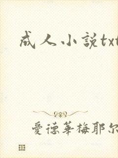 成人小说txt