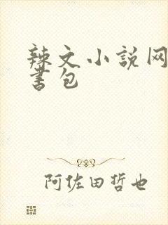 辣文小说网第二书包
