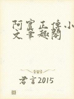 阿宾正传小说全文笔趣阁