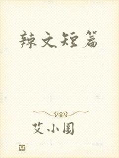 辣文短篇封面