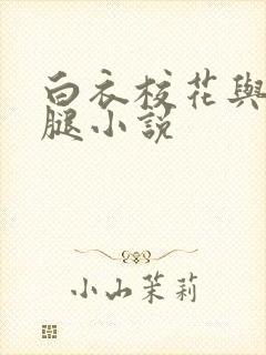 白衣校花与大长腿小说封面