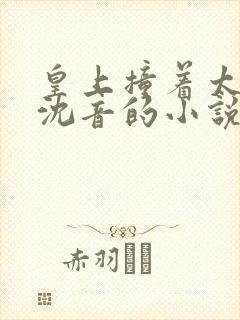 皇上撞着太子妃沈音的小说叫什么