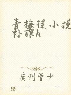 青梅从小摸到大补课h
