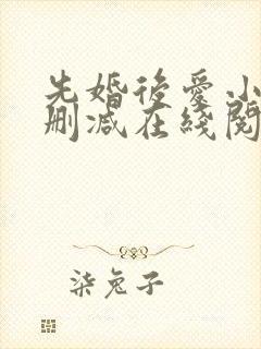 先婚后爱小说无删减在线阅读封面