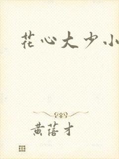花心大少小说