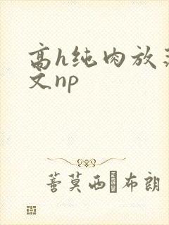 高h纯肉放荡h文np