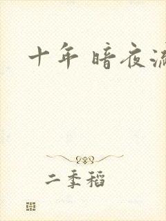 十年 暗夜流光封面