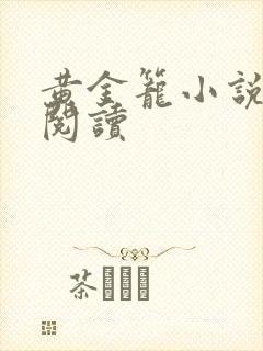 黄金笼小说免费阅读