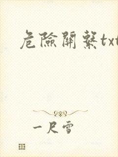 危险关系txt封面