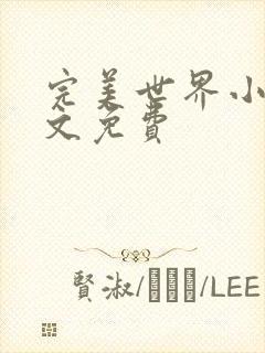 完美世界小说全文免费封面