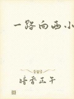 一路向西小说