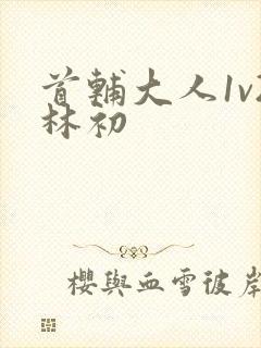 首辅大人1v2林初