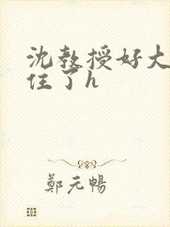 沈教授好大含不住了h