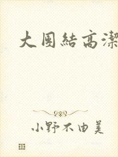 大团结高洁
