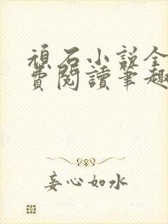 顽石小说全文免费阅读笔趣阁