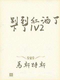 别到红酒了装不下了1V2