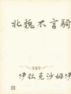 北魏不言骑封面
