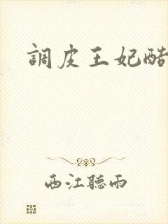 调皮王妃酷王爷