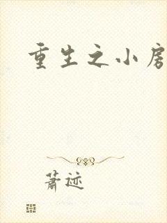 重生之小房东